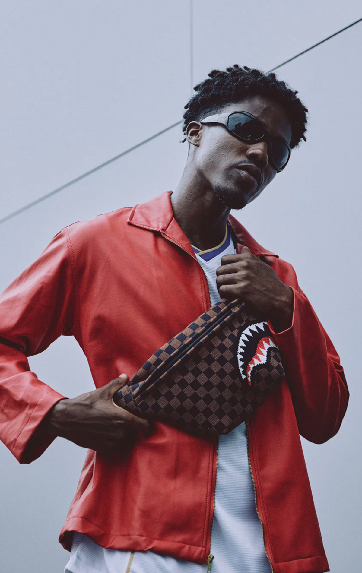 Knit Shark in Paris Savvy